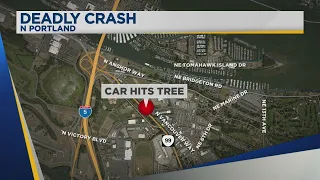 Driver dies after hitting curb, crashing into large tree in Portland