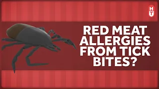 How Can a Tick Bite Make You Allergic to Red Meat?