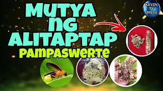 Mga sekrito ng alitaptap  -Kevin Tv Facts