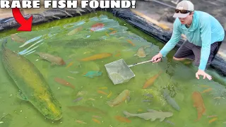 I Found a Green Slime Pond FILLED with AQUARIUM FISH!