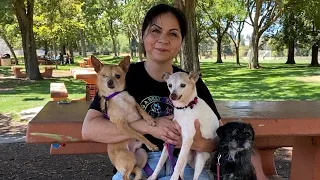 Childhood abuse survivor on a mission to save lives of abused animals, find forever homes