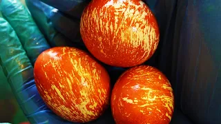 SPACE eggs in onion peels without chemicals❗️How to paint eggs in an original way for Easter 2024