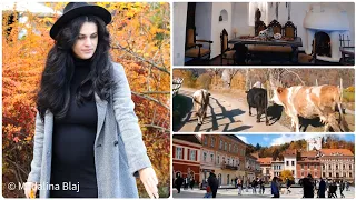 Brasov | Turul Castelului Bran | Ma plimb singura prin Brasov|| Tiara va explica ceva| O recomandare