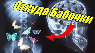 ОТКУДА БАБОЧКИ В ЖИВОТЕ [BrainShow]