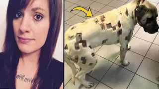 Woman Finds Dog Covered In Odd Marks, Rushes To Vet For Answers
