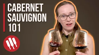 Cabernet Sauvignon (Everything You Need To Know) | Grapes 101