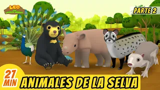 Animales de la Selva Episodio Compilación [Parte 2/2] (Español) - Leo, El Explorador | Animación