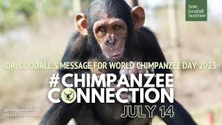 Dr. Jane Goodall's Message for World Chimpanzee Day | 2023