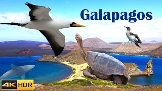 Galapagos August 2022 (4K HDR)