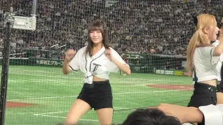 登峰造極　2023.11.16東京ドーム アジアプロ野球チャンピオンシップ 瑟七＆秀秀子