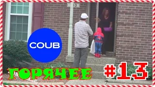 ГОРЯЧИЕ ПРИКОЛЫ ЗА НОЯБРЬ BEST IN COUB ЛУЧШЕЕ SweetCoub #13