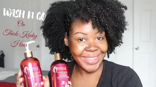 Wash N Go Using Mielle Pomegranate & Honey Curl Smoothie | Type 4 Hair