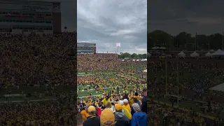 The fans at a MIZZOU after a 61 harder