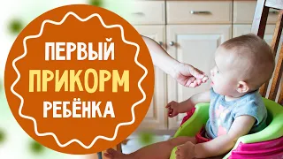 Первый прикорм ребёнка