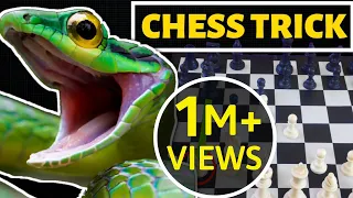 Khattarnaak Chess Trick [HINDI] Poison Pawn Trap | Best Chess Trick