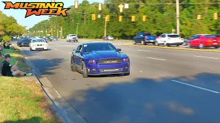 Mustang Week 2023 Kick Off Party Pullouts, Cops, & Full Sends!!