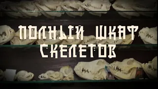 Полный шкаф скелетов