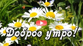 Доброе утро! Чудеса случаются с теми, кто в них верит. Ещё с одним чудом Вас! С новым днём!