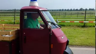 Ape Freunde Ortenau Treffen 2016 in Neuried / Altenheim 7/11