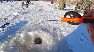 ГОРБАЧИ ПРИЖИМАЮТ КИВОК В КОРЯГАХ! Ловля окуня на безмотылку со льда! Зимняя рыбалка на сломе погоды