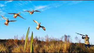 DUCK HUNTING 2023. We shot ducks while driving to the hunting site.