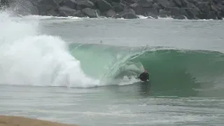 SUNDAY FUNDAY AND MORE WHALES AT THE WEDGE APRIL 21 2024