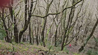 Heading down the slippery steps to the first waterfall in Wales