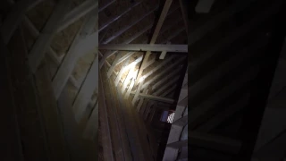 Flying squirrels in attic, running , noises at night in attic Minnesota