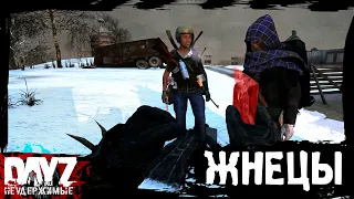 О ЧЁМ МОЛЧАТ ЖНЕЦЫ: DayZ НЕУДЕРЖИМЫЕ (11 серия, сезон: зима 2023, патч 1.23)