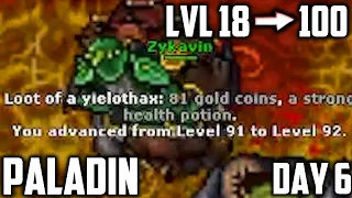 PALADIN: From LVL 18 to 100 in 7 DAYS - Part 6 (Day 6, subtitled)