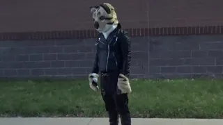 fate- furry music video