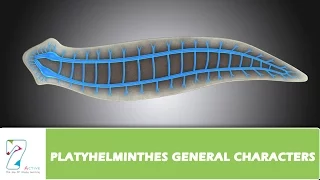 PLATYHELMINTHES GENERAL CHARACTERS