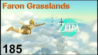 Zelda: TOTK - Faron Grasslands (Korok seeds) Part 2 of 2