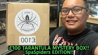 £100 TARANTULA MYSTERY BOX!! Spa Spider’s EDITION!!