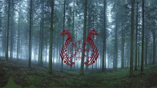 Музика Вікінгів Бойова - Danheim & Heldom - Runamal | Epic Viking & Nordic Folk Music