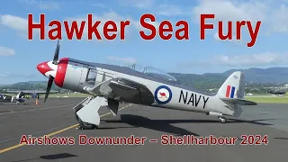 Hawker Sea Fury at Airshows Downunder - Shellharbour 2024