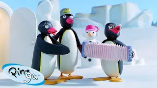 Teamwork with Pingu 🐧 | Fisher-Price | Cartoons For Kids