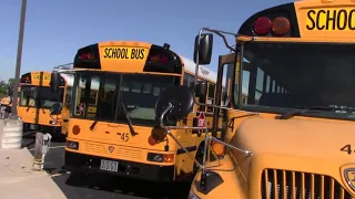 Brand New Blue Bird and IC Buses | SCHOOL BUS HUNTER