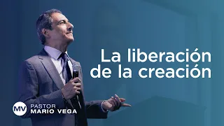 La liberación de la creación | Romanos 8:8-25 | Estudio Bíblico