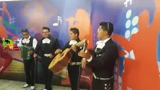 Porque te fuiste MARIACHI - BOLIVIA