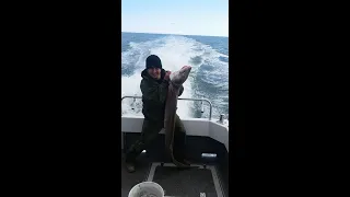 Gigantic Fish Caught on Camera /  Sea Fishing /Shocking Fishing Moments