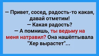 Сосед на Мужика Натравил Ведьму! Подборка Веселых Жизненных Анекдотов! Юмор!