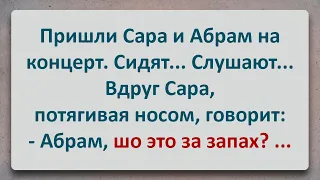 ✡️ Сара на Концерте Унюхала Носки Абрама ! Еврейские Анекдоты! Анекдоты про Евреев! Выпуск #124