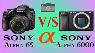 Sony Alpha 65 vs Sony α6000