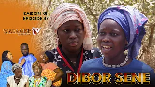 Série - Dibor Séne - Episode 47 - Saison 1