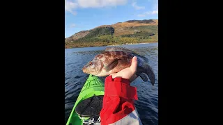 Loch Leven species hunt 2020