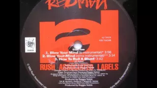 Redman - Blow Your Mind(LP Instrumental)