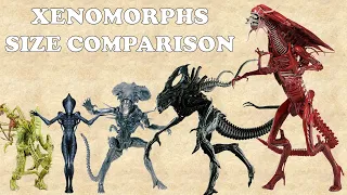 Xenomorphs | Size Comparison