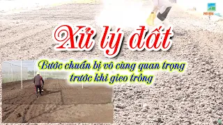 Chuẩn Bị, Xử Lý Đất Trước Khi Gieo Trồng (Xới Đất, Làm Cỏ, Rải Vôi, Trộn phân, Lên Luống,...)