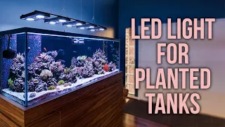 7 Best LED Light for Planted Tanks